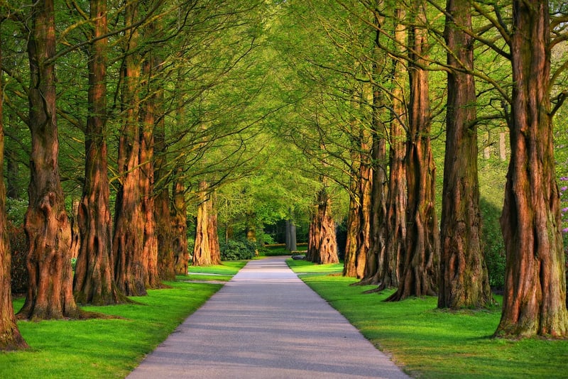 Magical Pathways